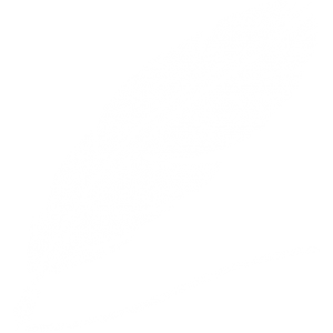 quill-drawing-a-line